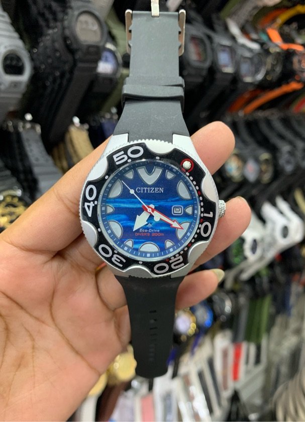 Citizen Modelo 2