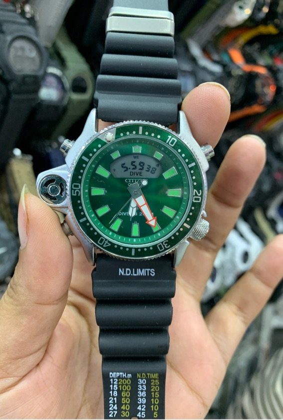 Citizen Modelo 4